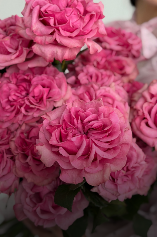 Пионовидные розы