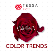 TESSACORP Ecuanrose-blog_enero2-180x180 Science and Culture: Valentine’s Day 2019 Trends 