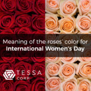 TESSACORP TC-blog-cover-womens-day-feb18-1-180x180 Science and Culture: Valentine’s Day 2019 Trends 