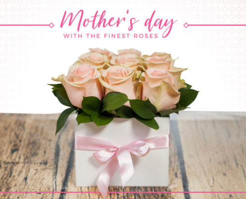 TESSACORP BLOG_ARREGLOdIAmadres-495x400 Make this Mother's Day more special with the finest roses Trends 