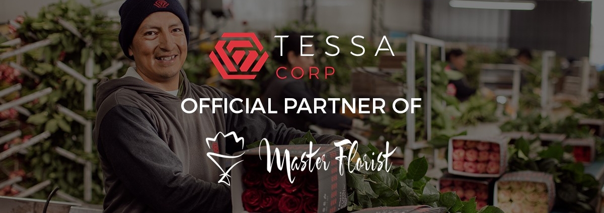 TESSACORP tessa-1200x423 Wedding Season 2019 