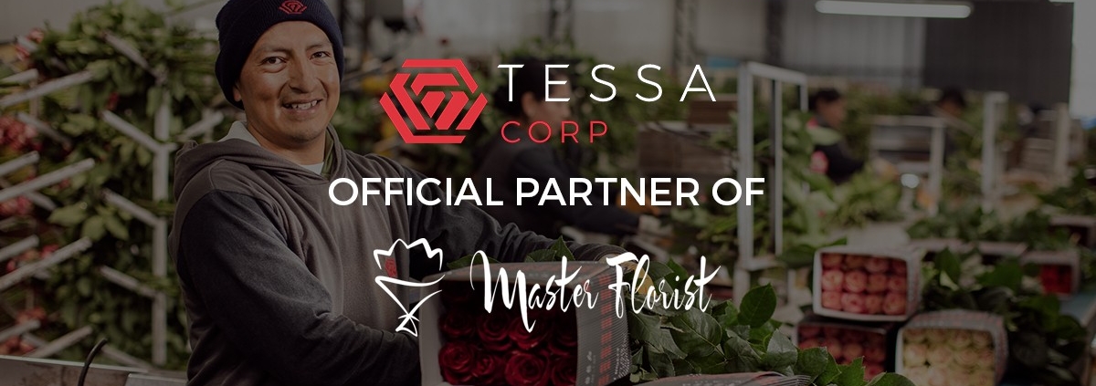 TESSA tessa-1200x423 Wedding Season 2019 