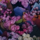 TESSACORP pexels-nezrin-16457738-80x80 Unveiling the Captivating Wedding Season 2023 Floral Trends Collaborations 
