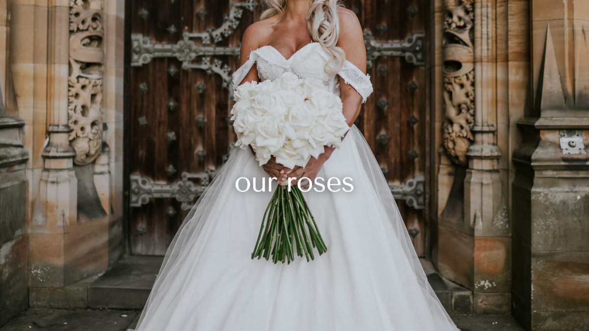 TESSA Banner-web-our-roses-eng Home 