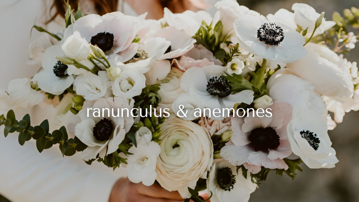 TESSA Banner-web-ranunculus-anemones-eng Home 