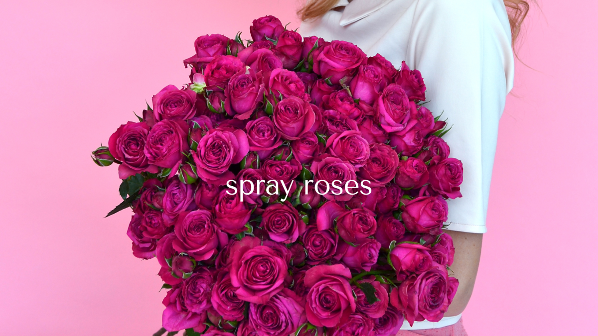 TESSA Banner-web-spray-roses-eng Home 