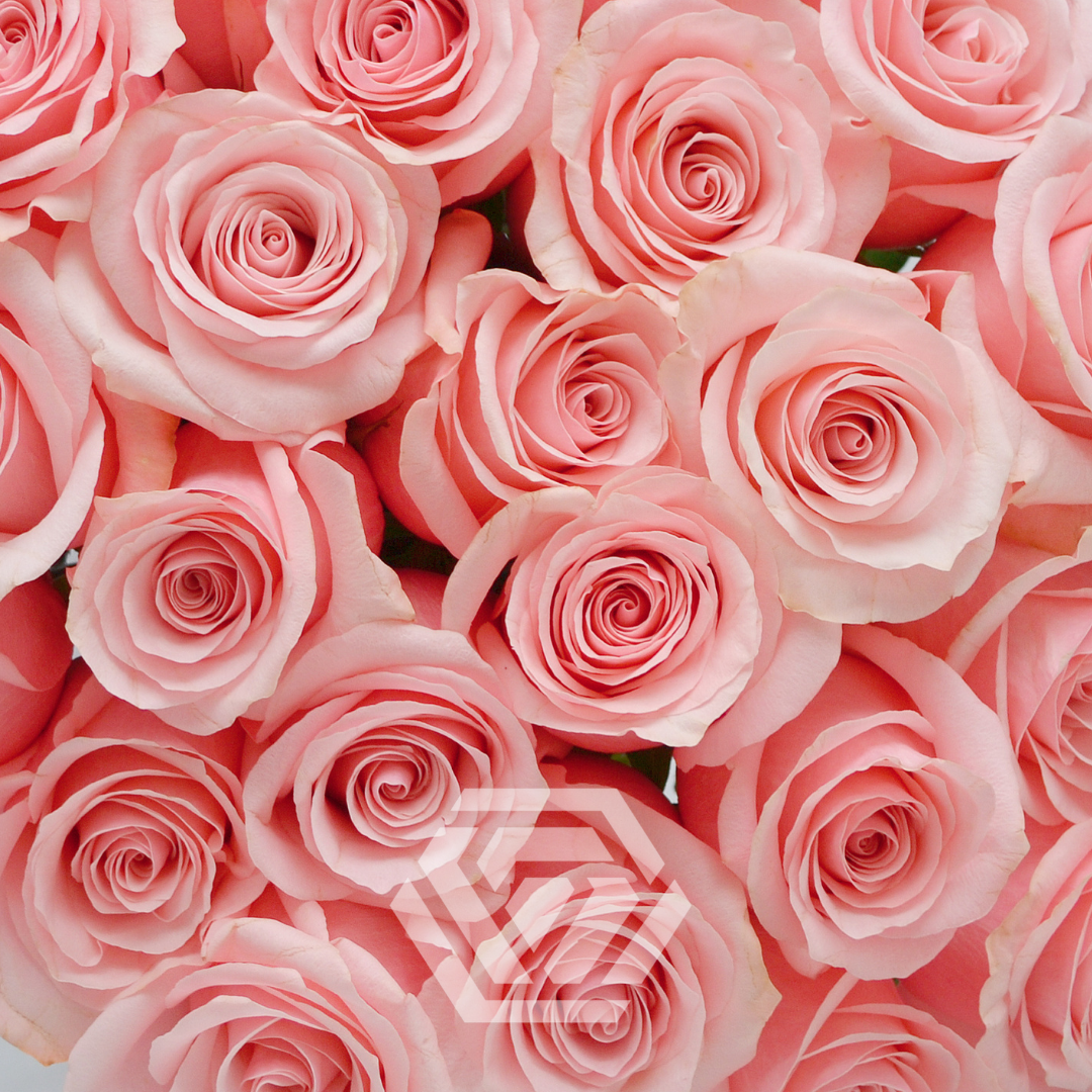 Be Sweet - Tessa The Finest Flowers